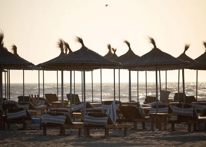 Apartment Katerina's Cozy Golem (Tirana)